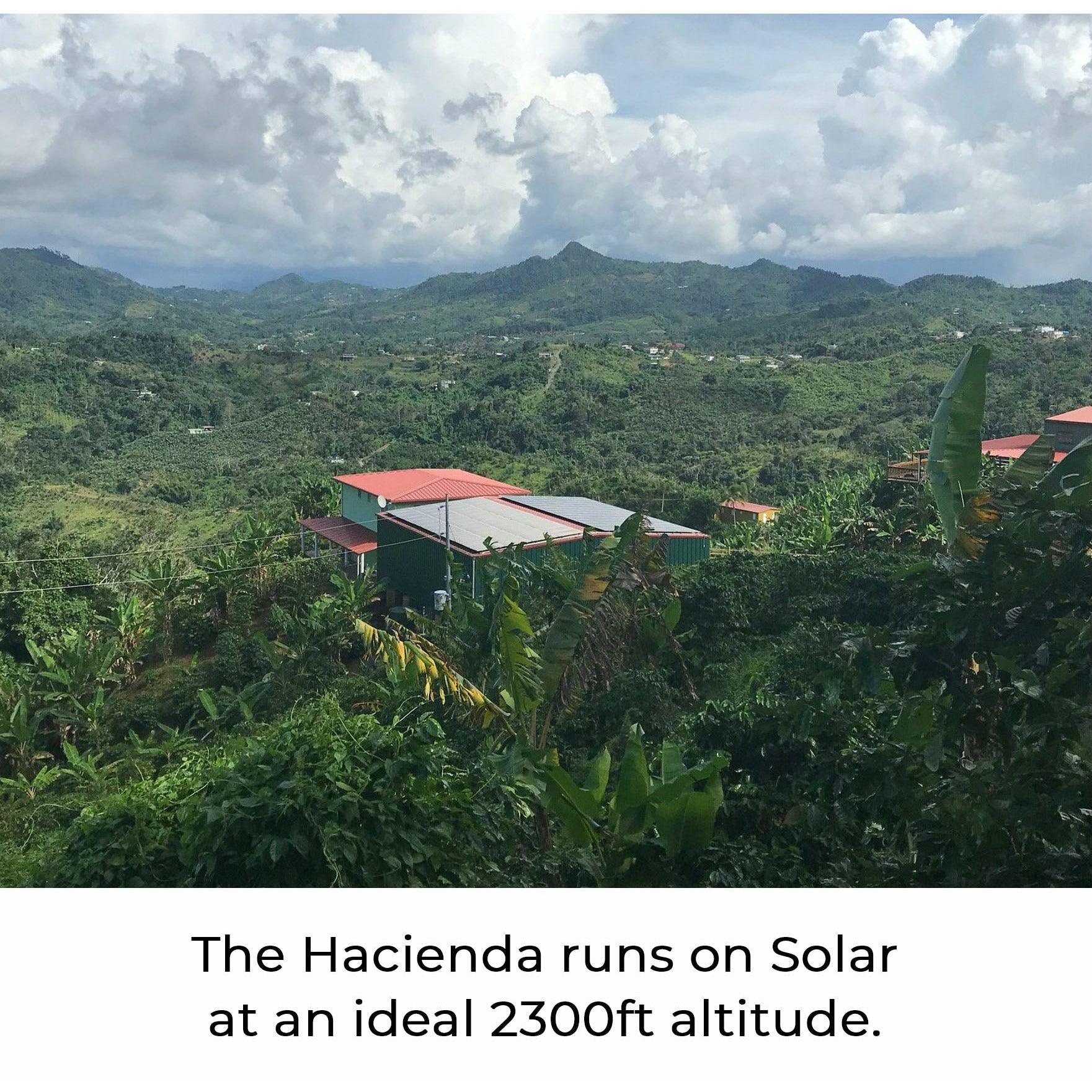 Solar powered coffee farm, Julian Coffee 
